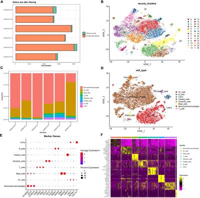 Frontiers Identification Of Novel Gene Signature For Lung